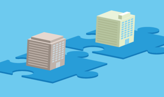 Healthcare Merger and Acquisition Management—A Workday Case Study
